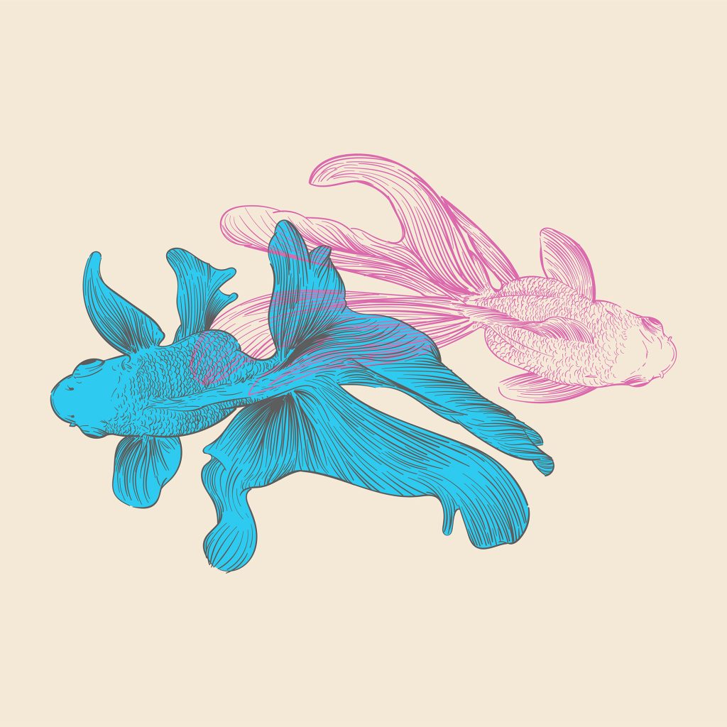 Hand Drawing Fish Illustration