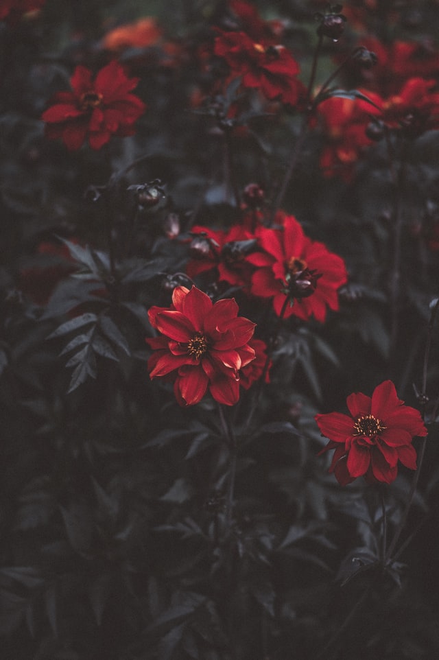 Colorful texture and background